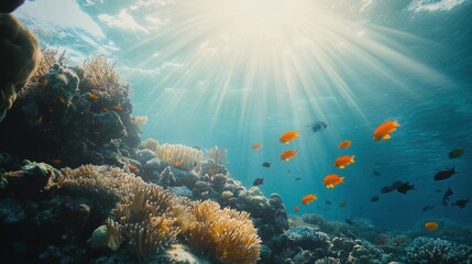 Naklejka premium An underwater scene showcasing a vibrant coral reef filled with various fish swimming amidst the colorful corals under the sunlight.