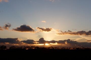 Silhouetted trees line a horizon as a golden sunset peeks through dark clouds.  Dramatic sky.