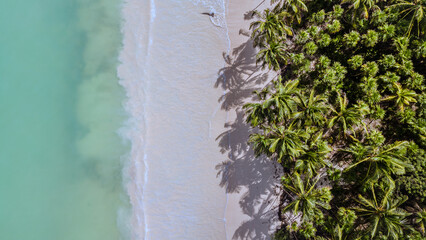Aerial Drone videos of breathtaking Beauty of Sian Ka'an reserve in Quintana Roo Mexico. A paradise of white Sand beaches, crystal clear water and palm trees