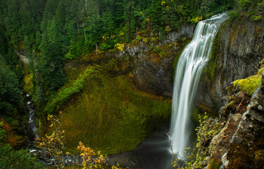 Naklejka premium waterfall in the forest