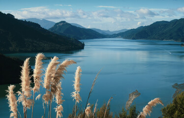 Tranquil landscape of Pelorus Sound in Marlborough Sounds, New Zealand, with blue tidal water, calm pacific ocean, distant mountains and valley, dramatic clouds on a clear sunny day