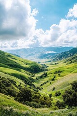 Fototapeta premium Rolling Green Hills under a Blue Sky