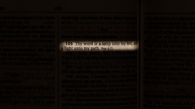 Thy Word Is a Lamp Unto My Feet Scripture Highlight