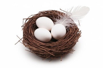Three white eggs nestled in a brown woven bird's nest with a single feather.