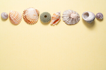 Natural seashells on yellow paper background 