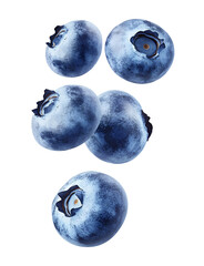 Blueberries in mid air png isolated on transparent background