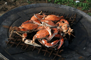 BBQ crabs in a fishing village in Liberia