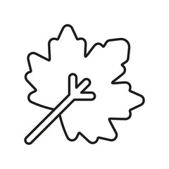 Maple Leaf line icon with white background vector stock illustration