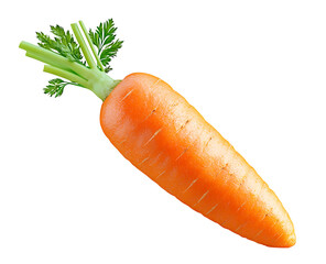 Fresh orange carrot with green tops png isolated on transparent background