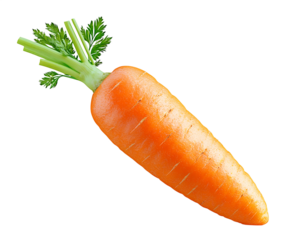 Fresh orange carrot with green tops png isolated on transparent background
