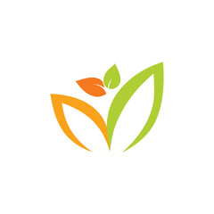 Leaf Company Logo Template Design.