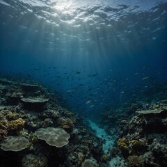 Fototapeta premium underwater view of reef