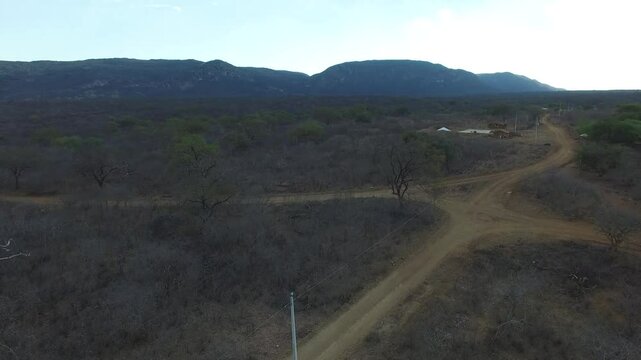 Northeastern backlands in Brazil, caatinga