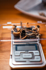 Dried Magic Mushrooms on Digital Scale for Accurate Measurement Close-Up