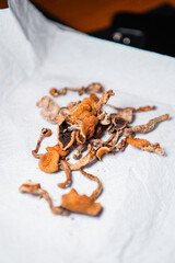 Close-Up of Dried Mushrooms Placed on a White Surface for Organic and Natural Food Concepts
