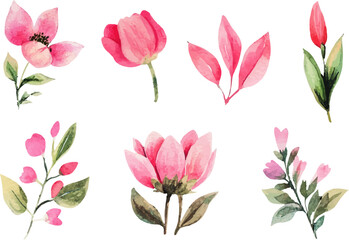 set of pink tulips