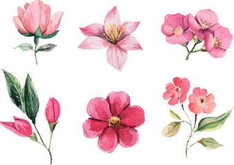 set of pink flowers clipart