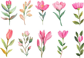 Fototapeta premium watercolor Spring flowers clip art