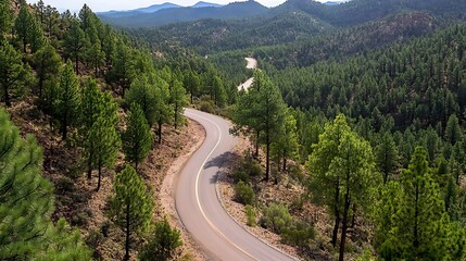 Fototapeta premium Scenic Mountain Road Winding Through a Lush Pine Forest. AI Generated