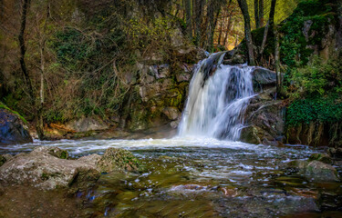 waterfall in the forest