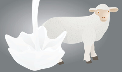 White sheep and milk. vector