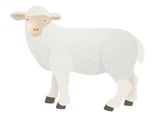 White sheep isolated. vector illustration