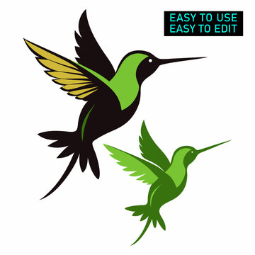  Tow flying hummingbird vector on a white background