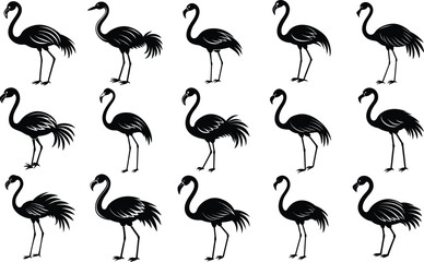 Fototapeta premium Set Of Flamingo Silhouette Vector Illustration
