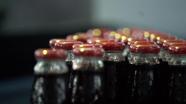 Fruit Juice Production. Fruit Juice Bottles. Lemonade Factory