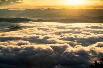 Landscape of the morning sea of ​​mist on the top of a mountain in Thailand.