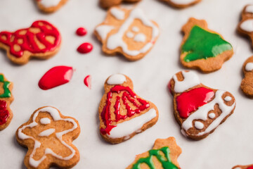 colorful cute cookies decorated with love for the Christmas Concept