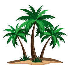 palm tree on a white background