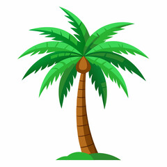 palm tree on a white background