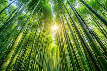 Fototapeta premium Sun shining through leading lines of green bamboo trees