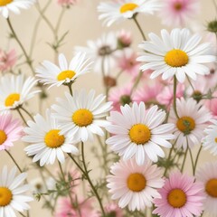 Chamomile flowers in a whimsical abstract blur with shades of pink and white on a light cream background, nature photography, summer wildflowers