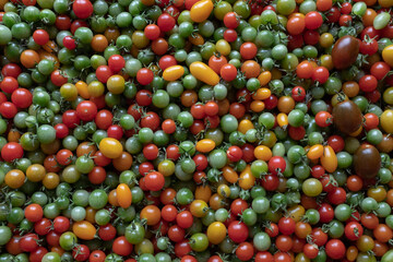 Vibrant Assortment of Cherry Tomatoes – Multicolored Fresh Tomatoes in Green, Red, Yellow, and Orange for Organic Farming and Culinary Use. High quality photography
