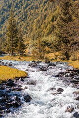 Mountain stream flows through vibrant fall foliage in a serene landscape