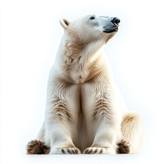 Fototapeta premium majestic polar bear sits gracefully, showcasing its thick white fur and strong physique. serene expression captures beauty of this magnificent creature in its natural habitat