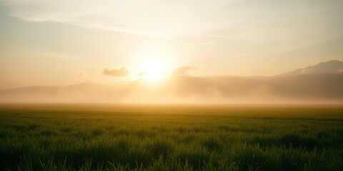 Serene Sunrise Over Misty Field and Distant Mountains