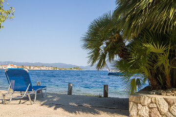 Panoramic view of the beach with palm trees on a sunny day. Vacation concept.