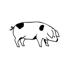 line art drawing of a big pig