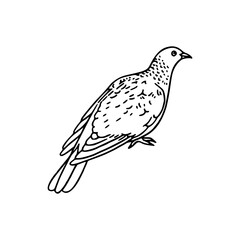 cartoon of a dove coloring page