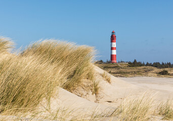 Lighthouse of Amrum, dune grass in foreground