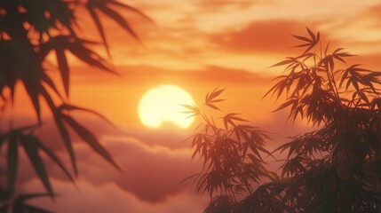 Obraz premium Sunset through bamboo leaves.