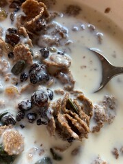 A bowl of all bran flakes with raisins and milk up close