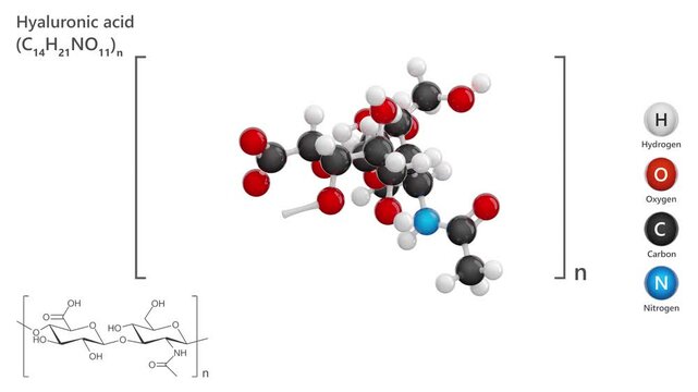Hyaluronic Acid. Animated 3D model of a molecule. Molecular formula: C14H21NO11 or (C14H21NO11)n. Chemical model: Ball and sticks. White background. 3D rendering. Seamless loop.