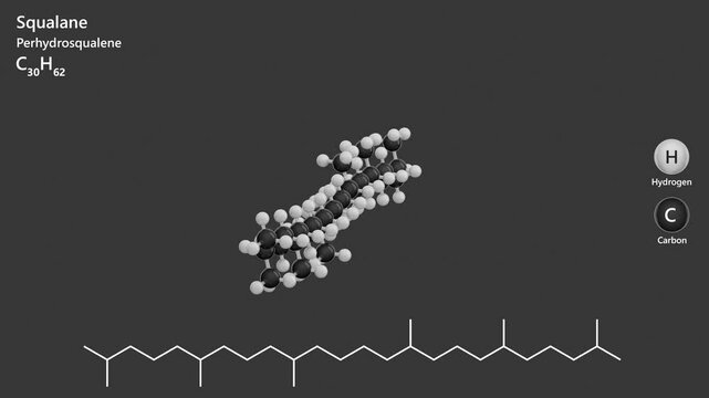 Squalane. Animated 3D model of a molecule. Molecular formula: C30H62. Chemical model: Ball and sticks. Gray background. 3D rendering. Seamless loop.
