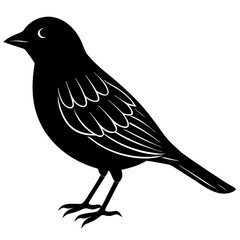 Bird Silhouette vector illustration