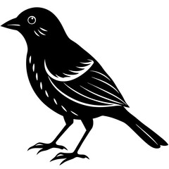 Bird Silhouette vector illustration