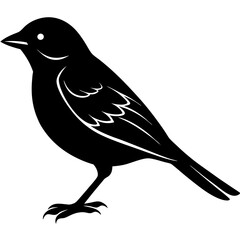 Bird Silhouette vector illustration